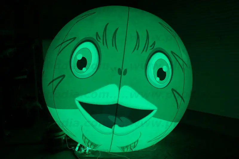 banniere, eclairage, led, poisson, couleur