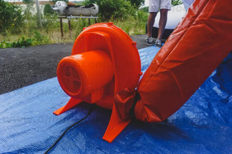 pingouin, sur mesure, auto-ventil&eacute;e, ext&eacute;rieur, Sealife, Val d&rsquo;Europe Paris, Animaux, Inauguration