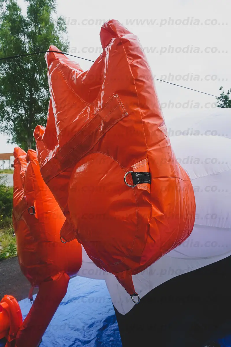 pingouin, sur mesure, auto-ventil&eacute;e, ext&eacute;rieur, Sealife, Val d&rsquo;Europe Paris, Animaux, Inauguration