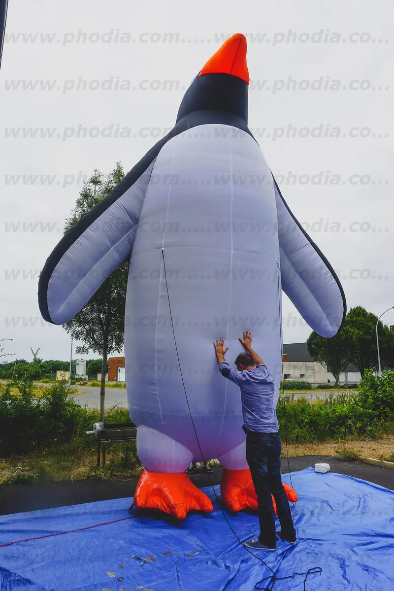 pingouin, sur mesure, auto-ventil&eacute;e, ext&eacute;rieur, Sealife, Val d&rsquo;Europe Paris, Animaux, Inauguration