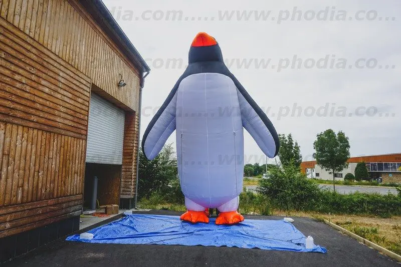 pingouin, sur mesure, auto-ventilée, extérieur, Sealife, Val d’Europe Paris, Animaux, Inauguration