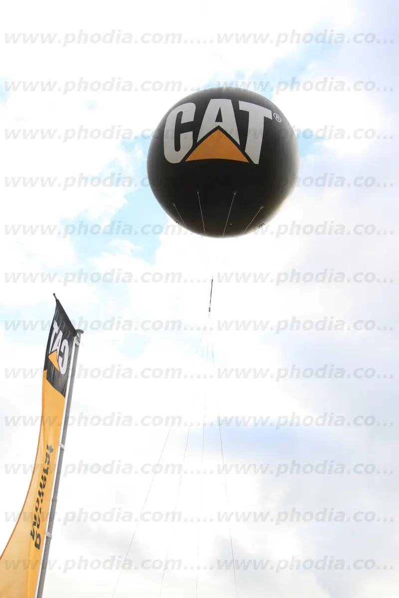 sph&egrave;re, h&eacute;lium, cat, &eacute;v&eacute;nement, ext&eacute;rieur, noir