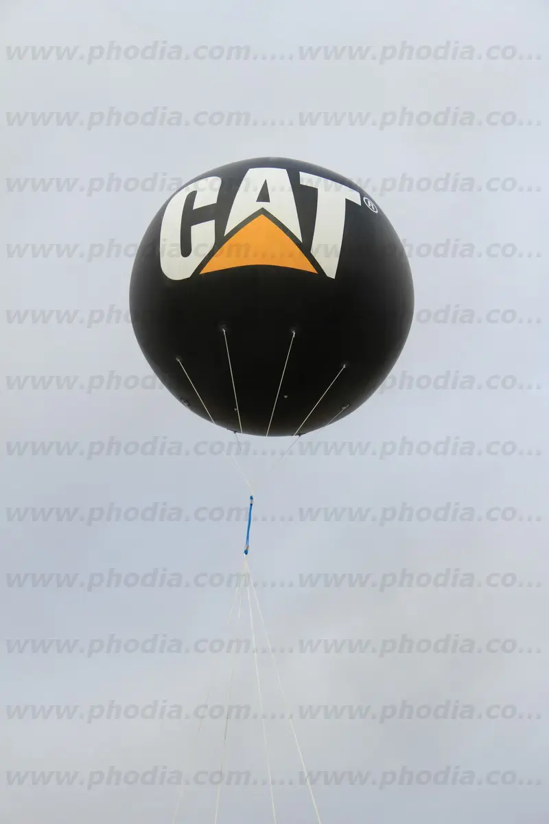 sph&egrave;re, h&eacute;lium, cat, &eacute;v&eacute;nement, ext&eacute;rieur, noir