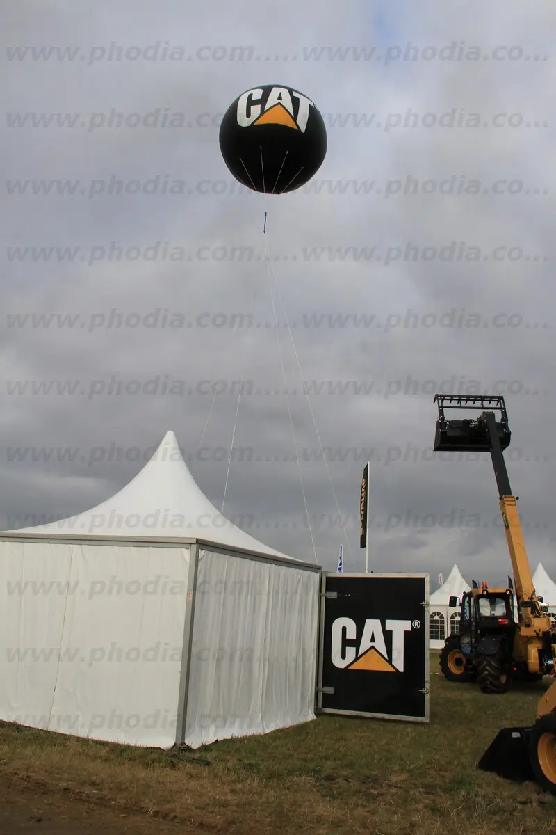 sph&egrave;re, h&eacute;lium, cat, &eacute;v&eacute;nement, ext&eacute;rieur, noir