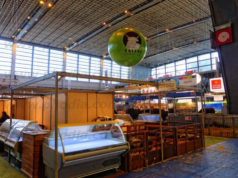 ballon g&eacute;ant publicitaire, salon de l'agriculture, vert, h&eacute;lium