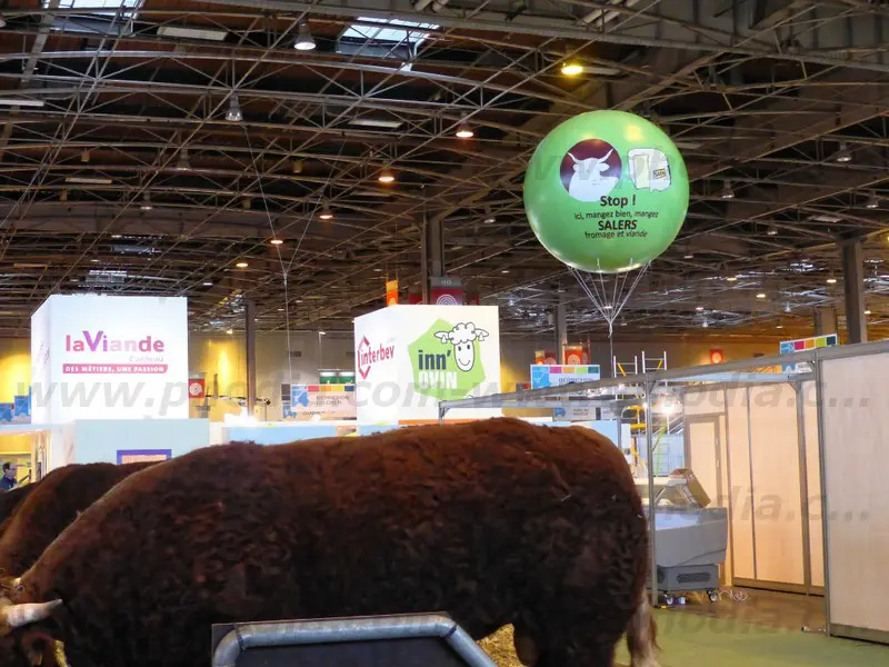 ballon g&eacute;ant publicitaire, salon de l'agriculture, vert, h&eacute;lium