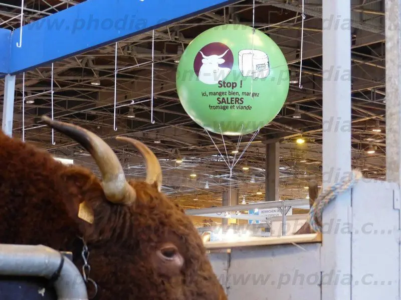 ballon géant publicitaire, salon de l'agriculture, vert, hélium