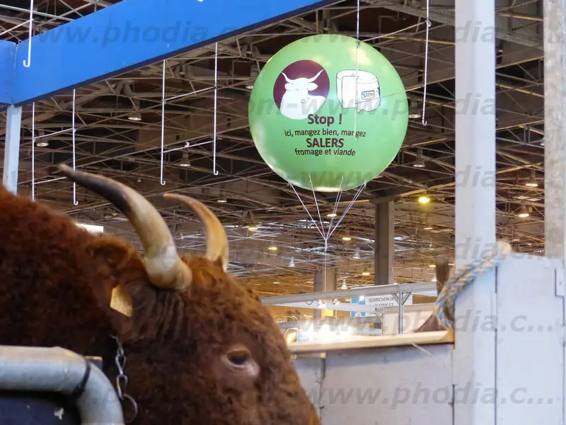 ballon g&eacute;ant publicitaire, salon de l'agriculture, vert, h&eacute;lium