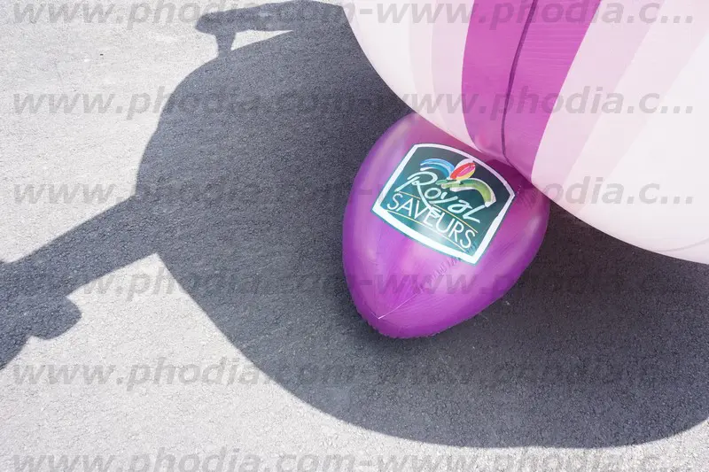 plv, forme sur mesure, ail, animation commerciale, violet