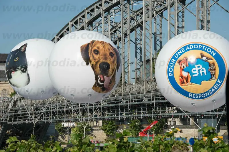 spa, sph&egrave;re h&eacute;lium, animaux, ext&eacute;rieur, campagne de sensibilisation