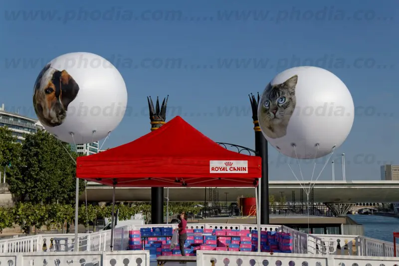 spa, sph&egrave;re h&eacute;lium, animaux, ext&eacute;rieur, campagne de sensibilisation