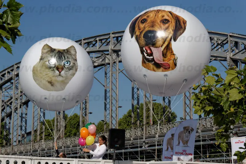 spa, sph&egrave;re h&eacute;lium, animaux, ext&eacute;rieur, campagne de sensibilisation