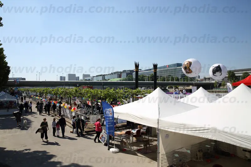 spa, sph&egrave;re h&eacute;lium, animaux, ext&eacute;rieur, campagne de sensibilisation