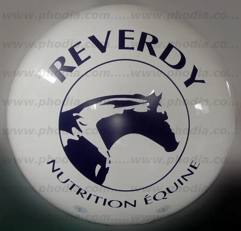 reverdy-ballon-geant-salon-h&eacute;lium