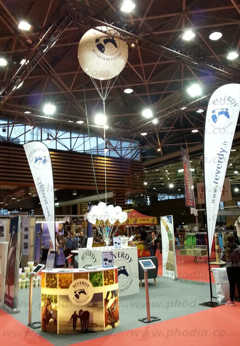 reverdy-ballon-geant-salon-h&eacute;lium