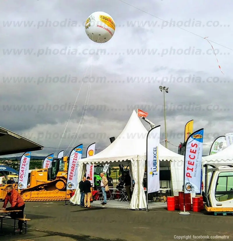 sommet de la foret et du bois 2017, codimatra, sph&egrave;re, h&eacute;lium, &eacute;v&eacute;nement, ext&eacute;rieur