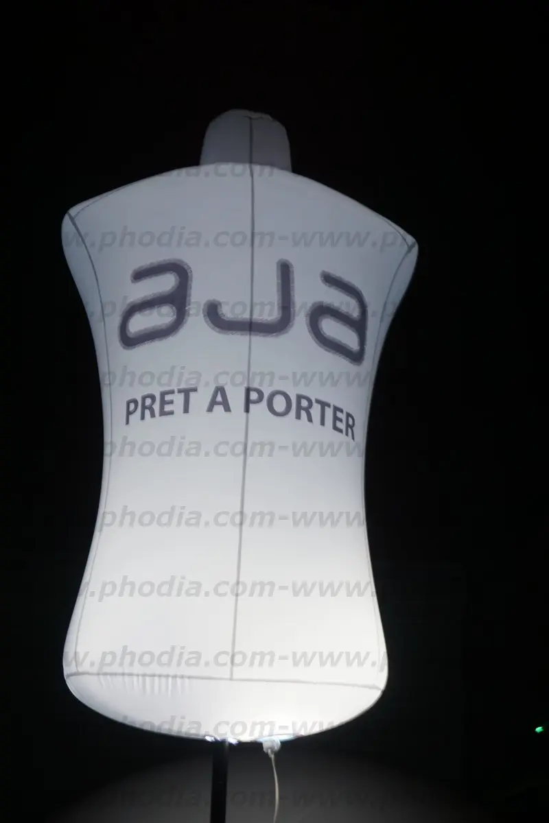 aja, plv, buste, air captif, salon, lumineux