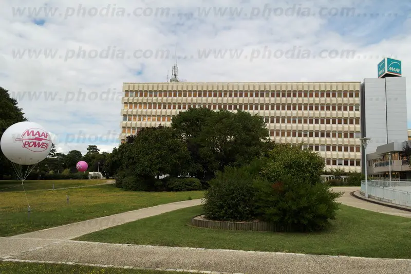 sph&egrave;re, rose, h&eacute;lium, remise, maaf power