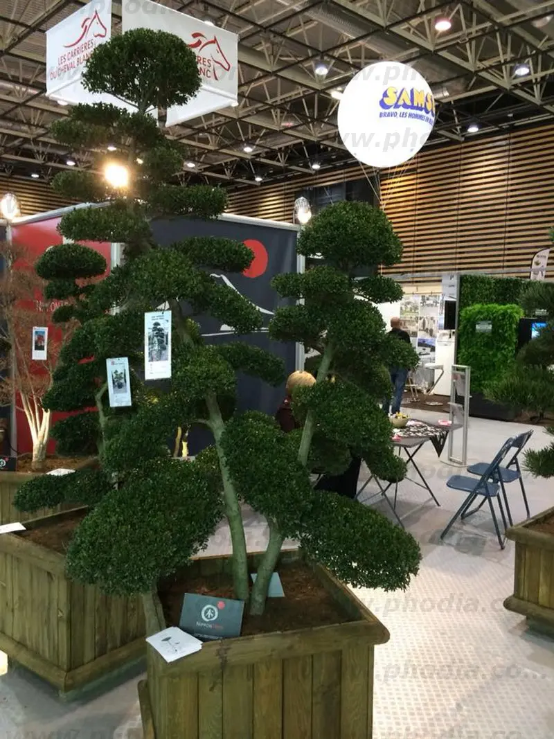 sph&egrave;re, h&eacute;lium, SAMSE sphere 2m - paysalia 2017