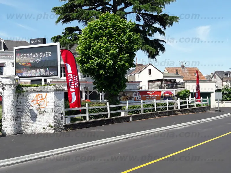 drapeau buffalo WF470