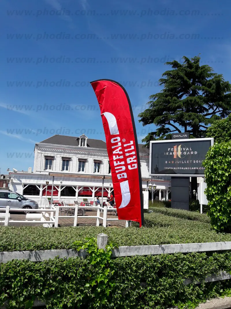 drapeau buffalo WF470