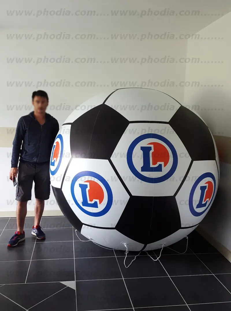 E.leclerc st nazaire (sphere 2m total covering)