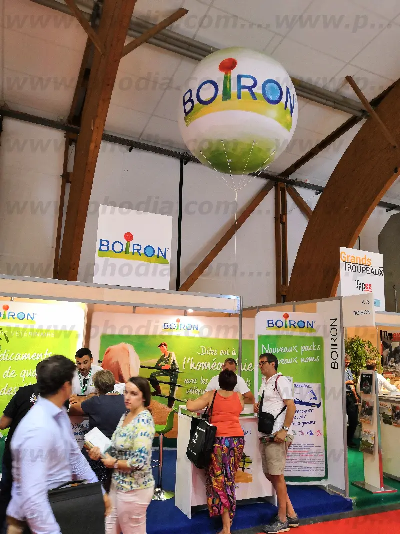 sphere boiron 1m80, H&eacute;lium, Int&eacute;rieur, Salon, Sant&eacute;, SPACE (Rennes), Sph&egrave;re, Total covering