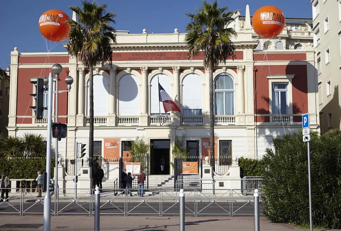 Google Pin 2m50 Gaston Mercier Cat&eacute;gories : Animaux, Blanc, Equita Lyon, Google Pin, H&eacute;lium, Int&eacute;rieur, Non class&eacute;, Salon Description