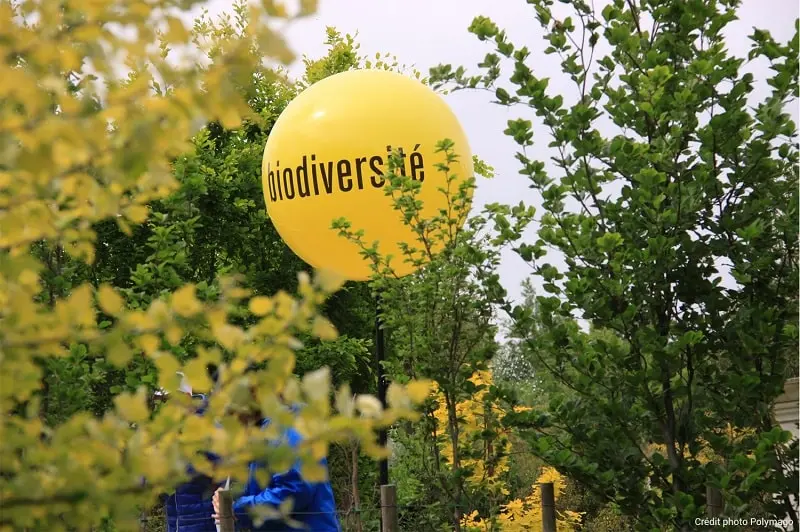 Ballon sur tr&eacute;pied 1m polymago, Administration / Fonction publique, Air, Autres, Ballon sur tr&eacute;pied (m&acirc;t 2m70), Communication, Ext&eacute;rieur