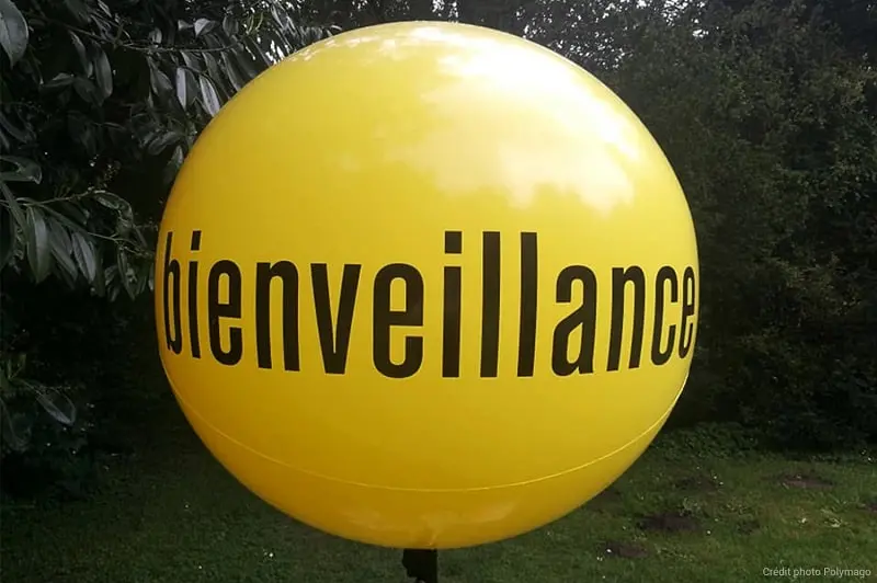 Ballon sur tr&eacute;pied 1m polymago, Administration / Fonction publique, Air, Autres, Ballon sur tr&eacute;pied (m&acirc;t 2m70), Communication, Ext&eacute;rieur