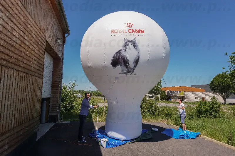 Montgolfi&egrave;re 5m Royal Canin, Agroalimentaire - Alimentation, Animation commerciale, Animaux, Auto-ventil&eacute;, Blanc, Communication, Ext&eacute;rieur, Montgolfi&egrave;re, Montgolfi&egrave;re auto-ventil&eacute;e