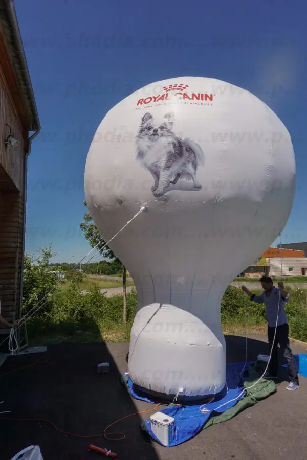 Montgolfi&egrave;re 5m Royal Canin, Agroalimentaire - Alimentation, Animation commerciale, Animaux, Auto-ventil&eacute;, Blanc, Communication, Ext&eacute;rieur, Montgolfi&egrave;re, Montgolfi&egrave;re auto-ventil&eacute;e