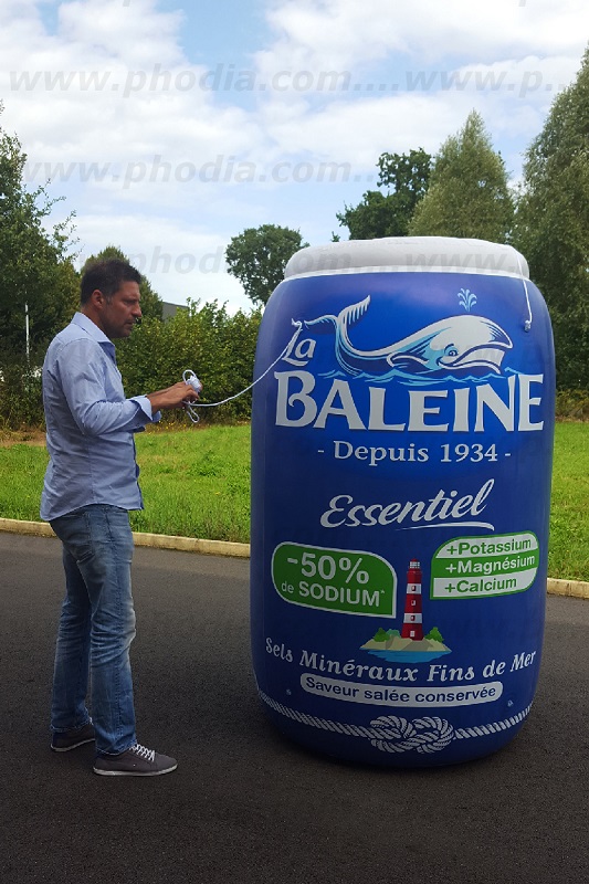 Salière La Baleine La Baleine, Agroalimentaire - Alimentation, Air, Animation commerciale, Communication, PLV (air), bleu