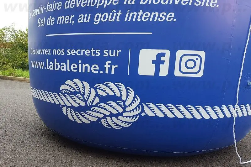 Sali&egrave;re La Baleine La Baleine, Agroalimentaire - Alimentation, Air, Animation commerciale, Communication, PLV (air), bleu