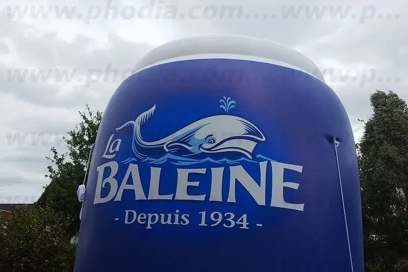 Salière La Baleine La Baleine, Agroalimentaire - Alimentation, Air, Animation commerciale, Communication, PLV (air), bleu