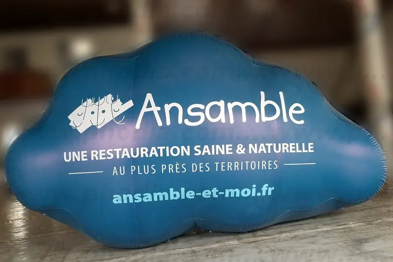Nuage Ansamble 3m50, Agroalimentaire - Alimentation, Forme sur mesure (h&eacute;lium), H&eacute;lium, Int&eacute;rieur, Salon