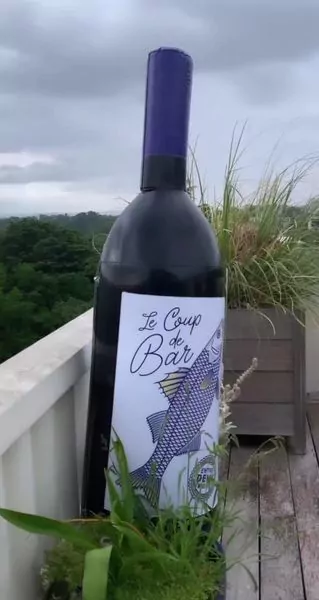 Bouteille de vin 2m &ndash; Image 2