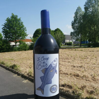 bouteille de vin, 2m, terre de vignerons