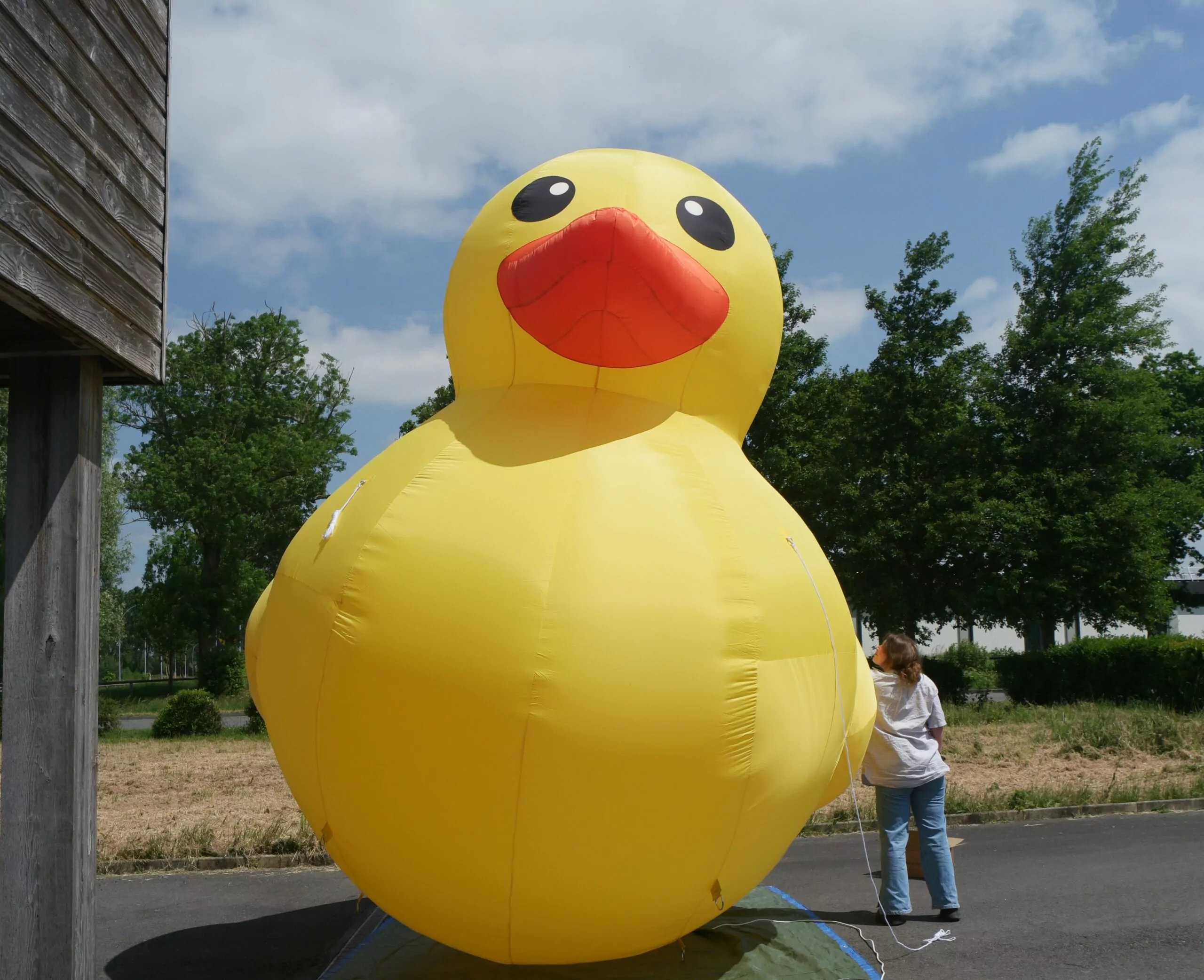 canard g&eacute;ant, 4m, jaune, auto-ventil&eacute;e, triple d
