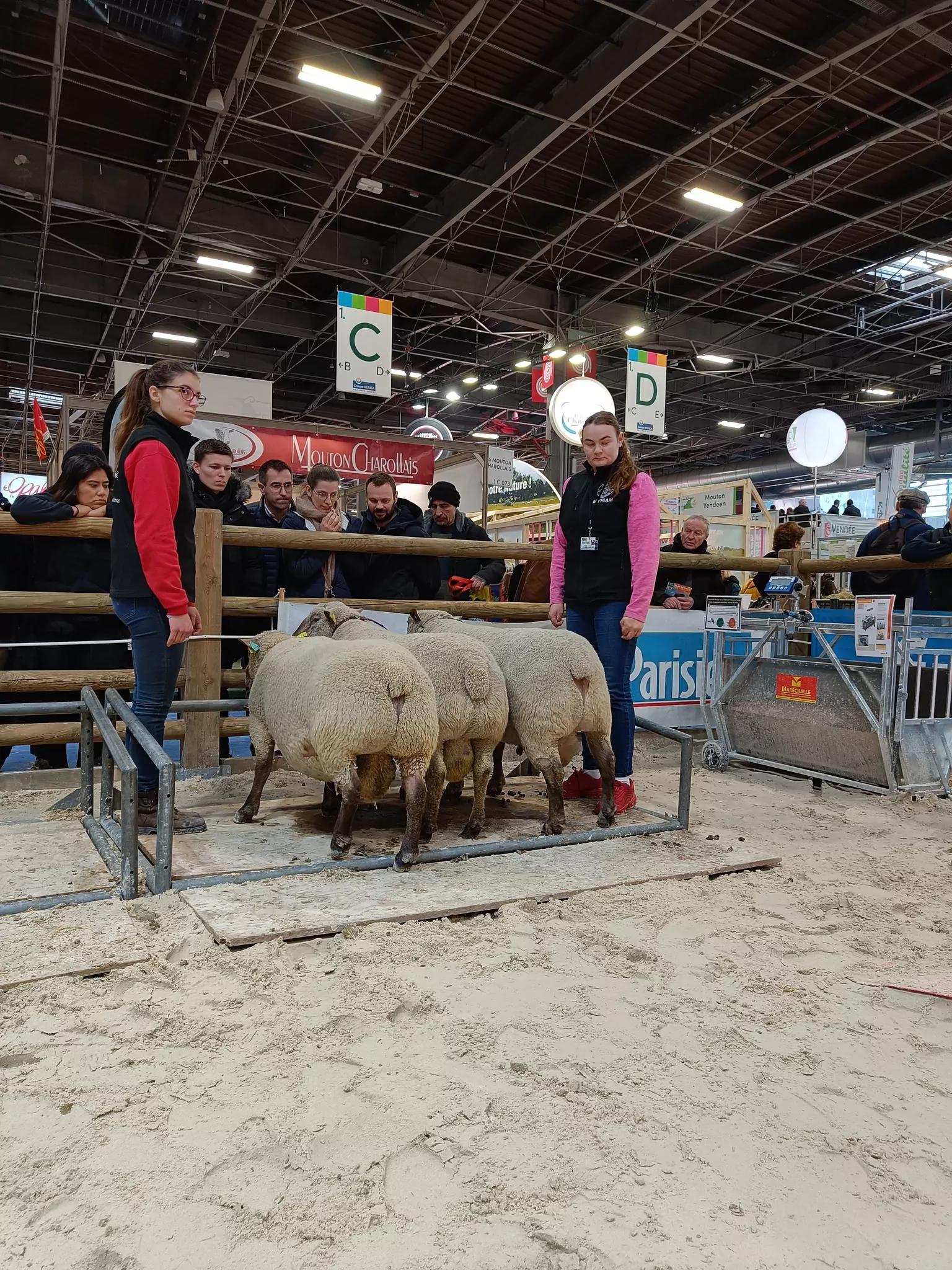 masph&egrave;re, 1m80, salon de l'agriculture, &eacute;clairant