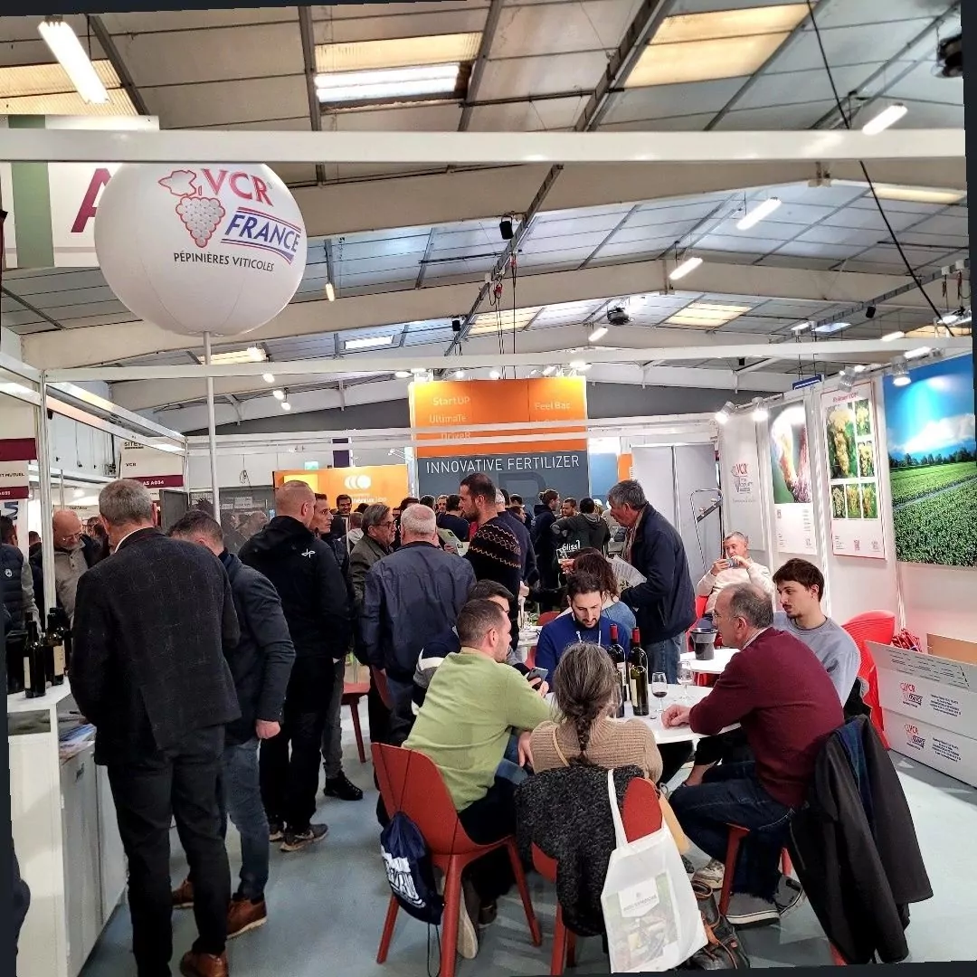 Masph&egrave;re 1,60m