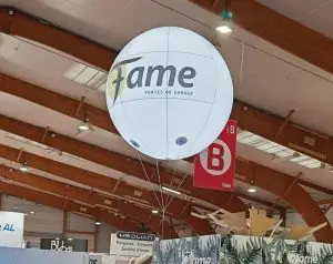 Sph&egrave;re 1m60 salon foire communication &eacute;v&eacute;nementiel publicit&eacute; gonflable salon Artibat Rennes phodia